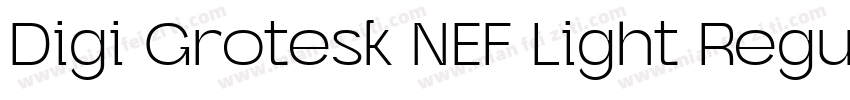 Digi Grotesk NEF Light Regular字体转换